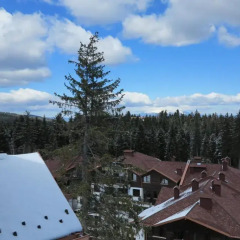 Апартаменты PM Services Borovets Garden Apartments Боровец балкон