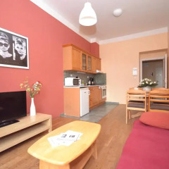 Апарт-отель Apartments Wenceslas Square Студия с различными типами кроватей фото 9