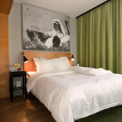 Hotel Rival 4* Стандартный номер с различными типами кроватей фото 7