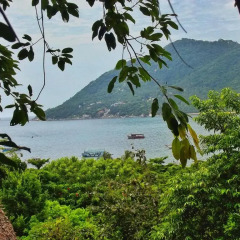 Отель Koh Tao Royal Resort 3* Бунгало Делюкс с различными типами кроватей фото 16