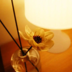 The City Hostel Hongdae в номере фото 2