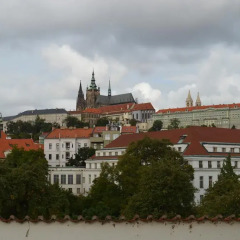 Hotel U Páva 4* Номер Делюкс с различными типами кроватей фото 10