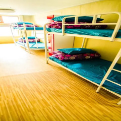 Kimchee Sinchon Guesthouse - Hostel Кровать в женском общем номере с двухъярусной кроватью фото 16