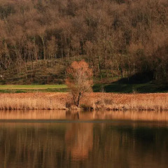 Отель Fattoria Le Vegre Италия, Лимена - отзывы, цены и фото номеров - забронировать отель Fattoria Le Vegre онлайн приотельная территория