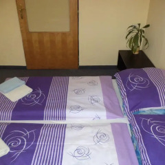 Hostel Kaktus Стандартный номер с различными типами кроватей фото 4