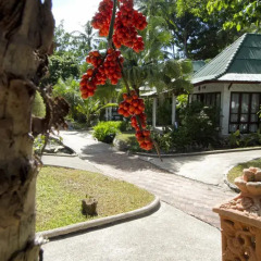 Отель Crystal Bay Yacht Club 3* Вилла с различными типами кроватей фото 44