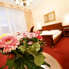 Hotel Schild 4* Стандартный номер фото 4