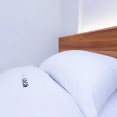 Hotel Gaon Seoul Dongdaemun 2* Стандартный номер с различными типами кроватей фото 4