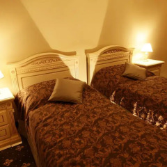 Hotel Alisa 3* Стандартный номер с 2 отдельными кроватями фото 6