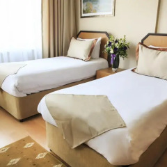 Anka Business Park 3* Стандартный номер с различными типами кроватей фото 3