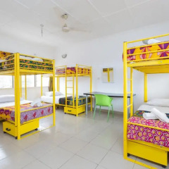 Agoo Hostel Кровать в женском общем номере с двухъярусной кроватью фото 3