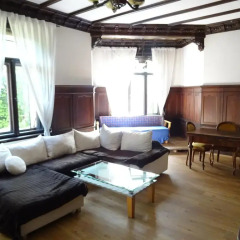 Отель Villa Bellevue Dresden развлечения
