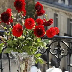 Отель Hôtel de Sévigné Франция, Париж - отзывы, цены и фото номеров - забронировать отель Hôtel de Sévigné онлайн фото 8