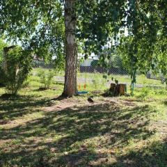 Гостиница Guest House in Krasnyy Klyuch фото 4