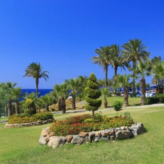 Отель Rodos Princess Beach Родос фото 2