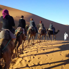 Отель Riad Ouzine Merzouga Марокко, Мерзуга - отзывы, цены и фото номеров - забронировать отель Riad Ouzine Merzouga онлайн приотельная территория