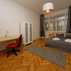 Отель Vorsilska Чехия, Прага - отзывы, цены и фото номеров - забронировать отель Vorsilska онлайн комната для гостей фото 4