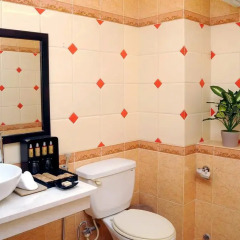 The World Hotel Nha Trang 3* Номер Делюкс с двуспальной кроватью фото 20