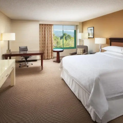Sheraton San Jose Hotel 3* Стандартный номер с различными типами кроватей фото 4