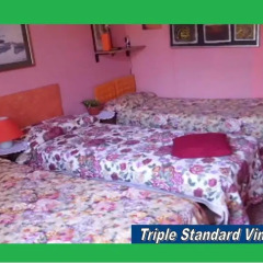 Отель Santa Oliva Homestay Италия, Палермо - отзывы, цены и фото номеров - забронировать отель Santa Oliva Homestay онлайн комната для гостей фото 3