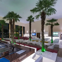 Отель Perla Beach I интерьер отеля