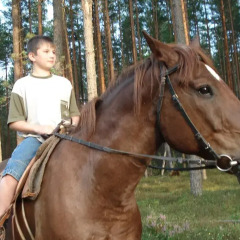 Гостиница Вселуг с домашними животными