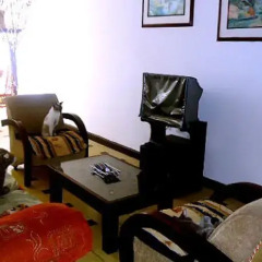 Отель Mistella Salsa Hostel Колумбия, Кали - отзывы, цены и фото номеров - забронировать отель Mistella Salsa Hostel онлайн комната для гостей фото 2
