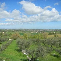 Отель Villa Vinivo Римини фото 4