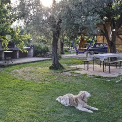 Отель B&B Dei Transumanti Ортона фото 3