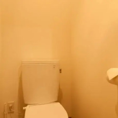Отель Bears Den Mountain Lodge Хакуба ванная фото 2