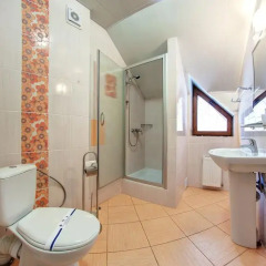 Семейный отель Горный Прутец 3* Полулюкс с различными типами кроватей фото 4