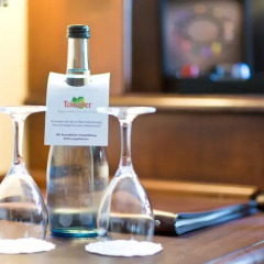 Kings Hotel First Class 4* Стандартный номер с различными типами кроватей фото 10