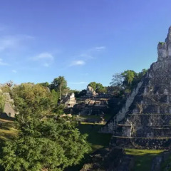 Hotel Jaguar Inn Tikal фото 8