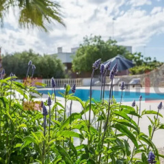 Отель B&B Masseria San Dana Гальяно дель Капо бассейн фото 3
