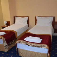 Гостиница Davidov Inn в Казани отзывы, цены и фото номеров - забронировать гостиницу Davidov Inn онлайн Казань комната для гостей фото 5