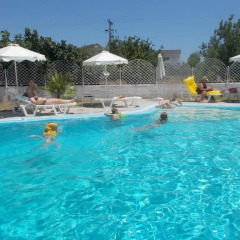 Отель Dolphin Apartments Греция, Родос - отзывы, цены и фото номеров - забронировать отель Dolphin Apartments онлайн бассейн фото 2