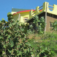 Отель Kudehya Guesthouse Ямайка, Треже-Бич - отзывы, цены и фото номеров - забронировать отель Kudehya Guesthouse онлайн детские мероприятия