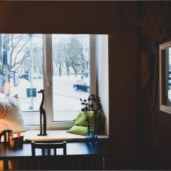 United Backpackers Hostel комната для гостей фото 5