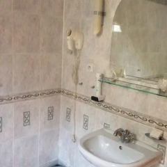 Hotel Zlaty Lev 4* Стандартный номер фото 3