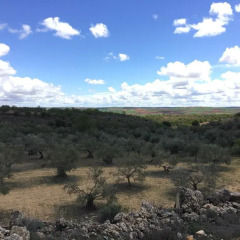 Отель Hostal Casa Rural La Ermita Саэлисес фото 5