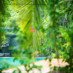 Отель Lanta Scenic Bungalow Таиланд, Ланта - отзывы, цены и фото номеров - забронировать отель Lanta Scenic Bungalow онлайн фото 18