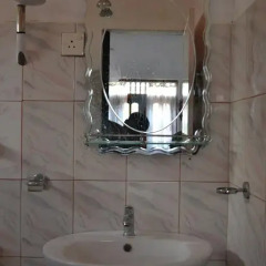 Отель Hansi Villa Шри-Ланка, Бентота - отзывы, цены и фото номеров - забронировать отель Hansi Villa онлайн ванная