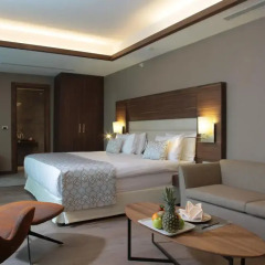 Bricks Airport Hotel Istanbul 3* Люкс с различными типами кроватей