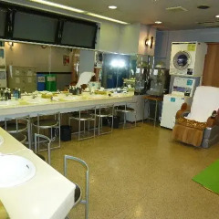 Tokyo Kiba Hotel Капсульный номер Single с различными типами кроватей фото 16