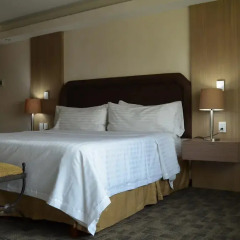 Отель Holiday Inn Select 4* Полулюкс фото 2