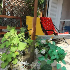 Отель Milka's House Болгария, Свети Влас - отзывы, цены и фото номеров - забронировать отель Milka's House онлайн фото 7