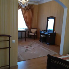 Гостиница Zolotoy Fazan Студия фото 5