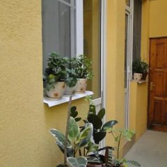 Отель Afalina Guest House Сочи интерьер отеля