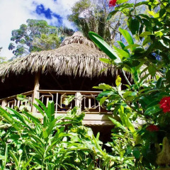 Отель Villas Pico Bonito 3* Коттедж с различными типами кроватей фото 20