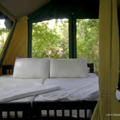 Отель The Yala Camping комната для гостей фото 3